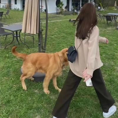 爱在猫咪疗愈时