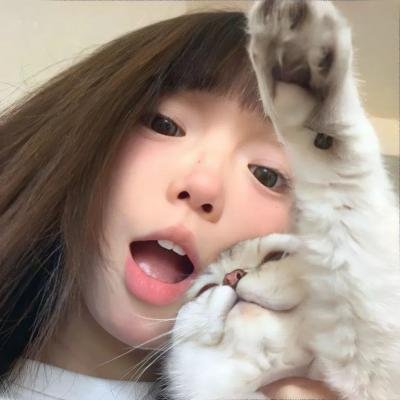 凸槌三人行
